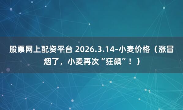股票网上配资平台 2026.3.14-小麦价格（涨冒烟了，小麦再次“狂飙”！）