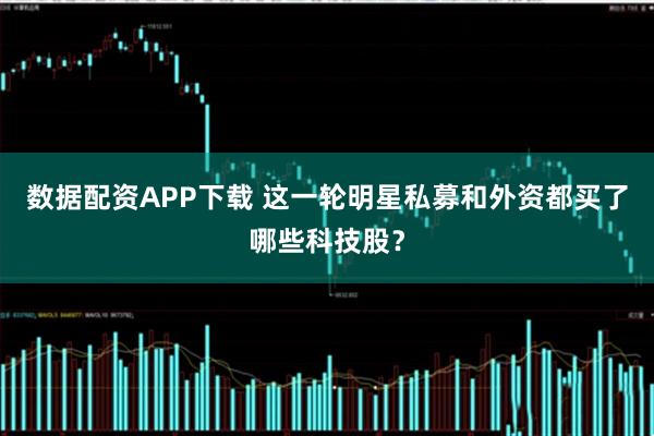 数据配资APP下载 这一轮明星私募和外资都买了哪些科技股？