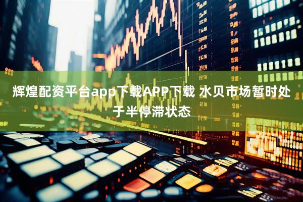 辉煌配资平台app下载APP下载 水贝市场暂时处于半停滞状态