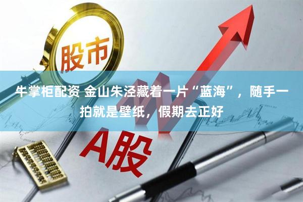 牛掌柜配资 金山朱泾藏着一片“蓝海”，随手一拍就是壁纸，假期去正好