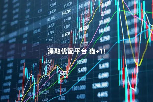 涌融优配平台 猫+1!